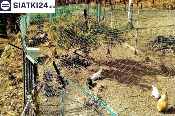 Siatki Białogard - Siatka na woliery - zabezpieczenia ptaków w hodowli dla terenów Białogardu